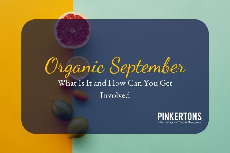 Organic September: What Is It and How Can You Get Involved?